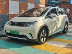 BYD Dolphin Glory Edition 420km Fashion Version - ფოტო 1