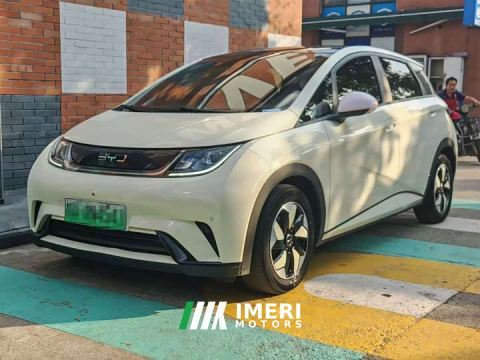 2024 BYD Dolphin Glory Edition 420km Fashion Version