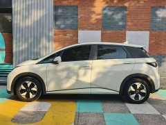 BYD Dolphin Glory Edition 420km Fashion Version - ფოტო 7