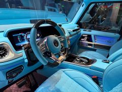 Mercedes-Benz Mercedes-AMG G 63 - photo 11