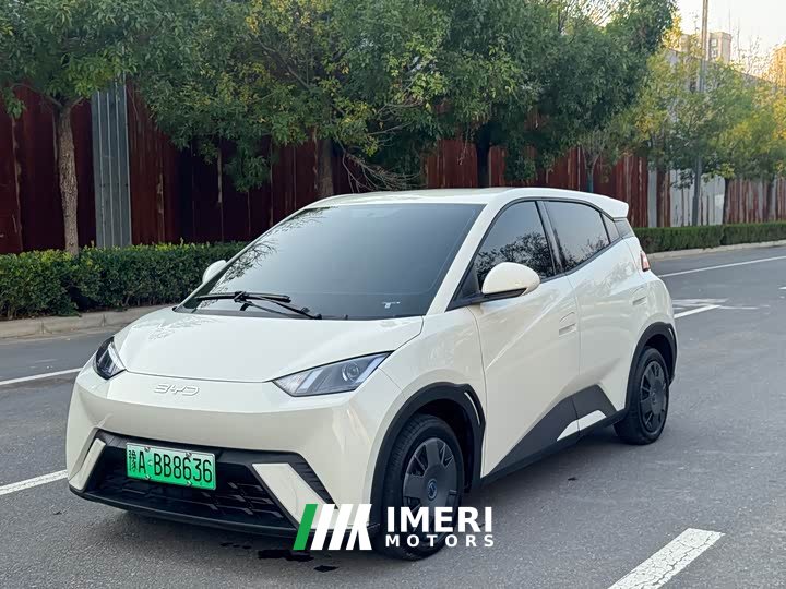 BYD Seagull 305km Vitality Edition