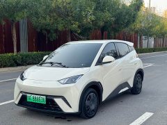 BYD Seagull 305km Vitality Edition - ფოტო 1