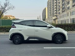 BYD Seagull 305km Vitality Edition - ფოტო 12