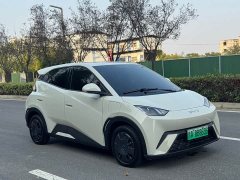 BYD Seagull 305km Vitality Edition - ფოტო 3