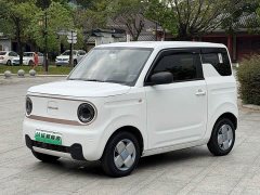 Geely Panda Mini 200km Endurance Edition - ფოტო 1
