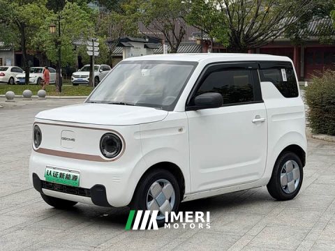 2023 Geely Panda Mini 200km Endurance Edition - ავტომობილი ჩინეთიდან