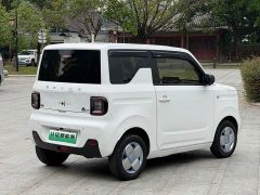 Geely Panda Mini 200km Endurance Edition - ფოტო 15