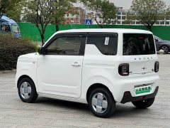Geely Panda Mini 200km Endurance Edition - ფოტო 17