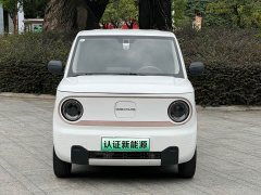 Geely Panda Mini 200km Endurance Edition - ფოტო 2