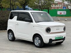 Geely Panda Mini 200km Endurance Edition - ფოტო 3