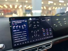 Li Auto L6 Pro - ფოტო 5
