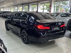 BMW 5 Series Facelift 530Li Luxury M Sport Package - фото 10