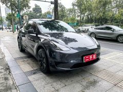 Tesla Model Y Rear-Wheel Drive - ფოტო 2