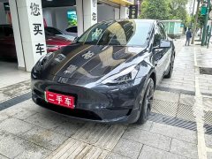 Tesla Model Y Rear-Wheel Drive - ფოტო 3