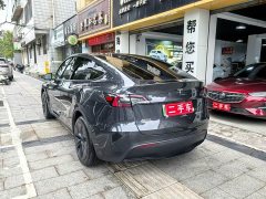 Tesla Model Y Rear-Wheel Drive - ფოტო 6