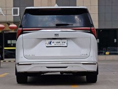Buick GL8 Luzun Respect Edition - ფოტო 6