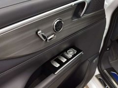 Buick GL8 Luzun Respect Edition - ფოტო 15