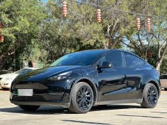 Tesla Model Y Standard Range RWD - ფოტო 1