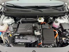 BYD Song Pro New Energy DM-i 71KM Glory Edition Pilot - ფოტო 10