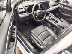 Geely Xingrui 2.0T Diesel Luxury - ფოტო 4