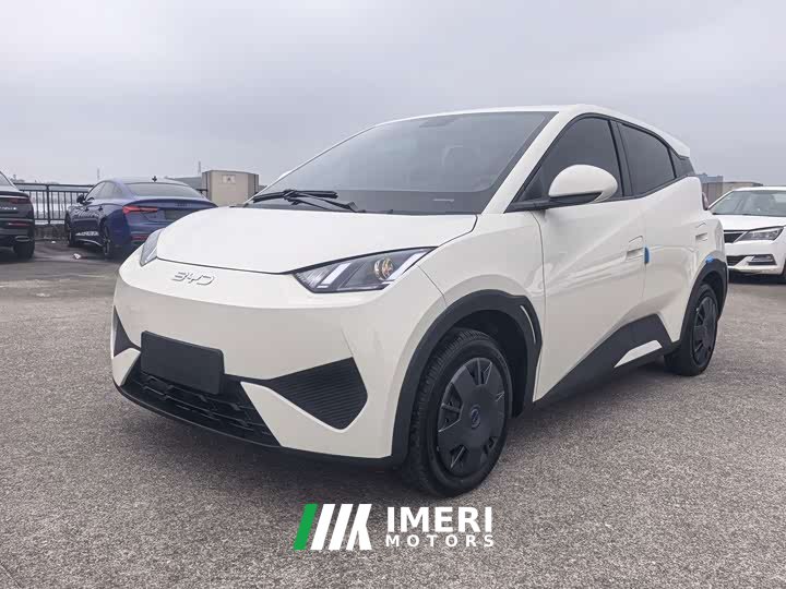 BYD Seagull Smart Drive 305km Vitality Edition
