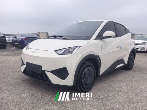 2025 BYD Seagull Smart Drive 305km Vitality Edition - ავტომობილი ჩინეთიდან