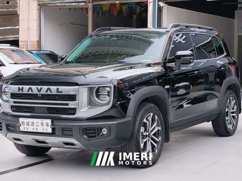 2024 Great Wall Dachshund 1.5T DCT Border Collie Edition - автомобиль из Китая