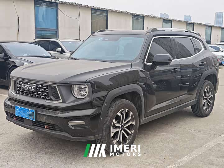 Haval Big Dog PLUS 2.0T AWD Trendy Wilderness Plus - автомобиль из Китая