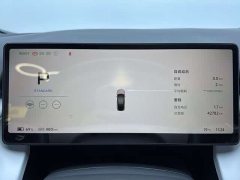 XPeng P7 Ultra-Long Range Max - ფოტო 14