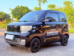 Wuling Hongguang MINIEV Deluxe Edition LFP Battery - фото 1