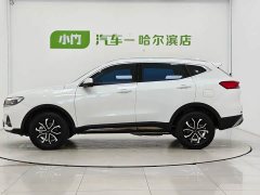 Haval H6 National Trend Edition 1.5T Automatic Urban Version - фото 4
