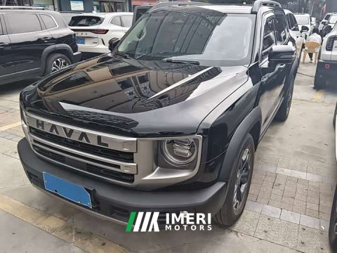 2024 Great Wall Dachshund 2.0T DCT Chinese Rural Dog Edition - автомобиль из Китая