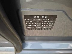 SAIC MG iMAX8 400TGI Huanju Edition - photo 8