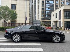 Audi A7L 45TFSI S-line Dream Edition Fluid Crystal Package - photo 18