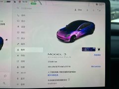 Tesla Model 3 Standard Range RWD Upgrade - ფოტო 19