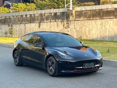 Tesla Model 3 Standard Range RWD Upgrade - ფოტო 3