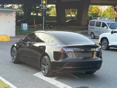Tesla Model 3 Standard Range RWD Upgrade - ფოტო 4