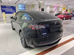 Tesla Model Y Rear-Wheel Drive - ფოტო 11