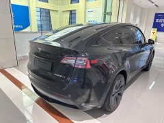 Tesla Model Y Rear-Wheel Drive - ფოტო 16