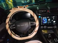 Lynk & Co 03 1.5T DCT Jìn Champion Edition - фото 6