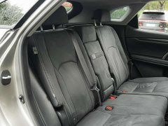 Lexus RX 300 FWD Elite China VI - ფოტო 15