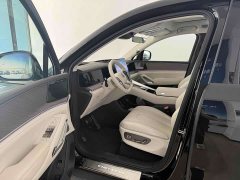 Denza N9 Premium Edition - ფოტო 6