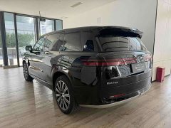 Denza N9 Premium Edition - ფოტო 7