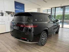 Denza N9 Premium Edition - ფოტო 8
