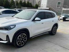 BMW X1 sDrive25Li M Sport Package - ფოტო 2