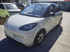 Wuling Binguo 333km Joy Edition - ფოტო 1