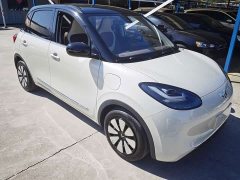 Wuling Binguo 333km Joy Edition - ფოტო 12