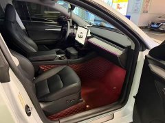 Tesla Model Y Rear-Wheel Drive - ფოტო 5