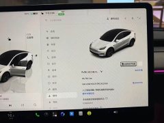 Tesla Model Y Rear-Wheel Drive - ფოტო 7