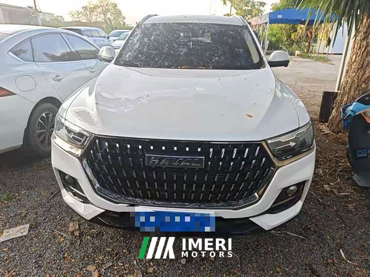 Haval H6 National Trend Edition 1.5T Automatic Urban Version - ავტომობილი ჩინეთიდან
